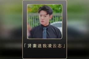 贤妻送我凌云志,凌云志展翅高飞