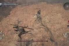 国木无双,探寻千年古树的传奇与智慧