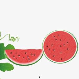 吃瓜娱乐素材视频下载  第3张